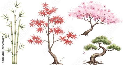 Asian trees collection with bamboo maple cherry blossom and bonsai traditional Japanese botanical vector illustration nature garden design set