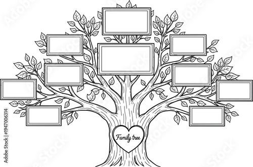 Family tree genealogy chart template, ancestry diagram with photo frames, vintage line art vector isolated background illustration