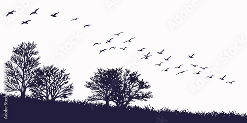Silhouette of trees and grass with a flock of birds flying overhead in a serene natural landscape scene