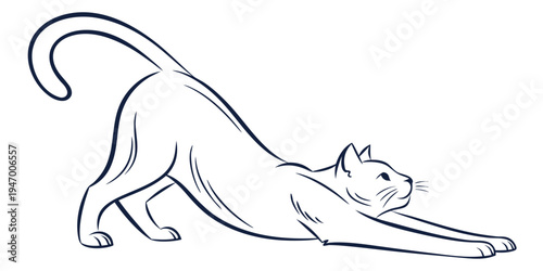 A black line drawing of a cat in a downward dog yoga pose with a curled tail and stretched out body