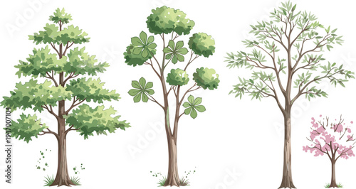 Collection of realistic forest trees including leafy green trees and blooming spring tree botanical vector illustration set