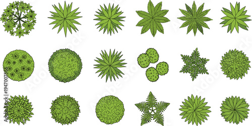 Top view green bush tree collection, garden foliage plant element set, landscape design vector isolated background illustration