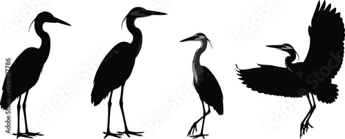 Heron bird silhouettes, standing heron, walking heron, flying heron, wings spread, long legs, avian artwork, wildlife illustration, nature design, shadow figure