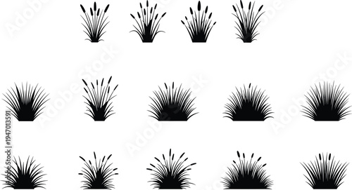 Grass and reed plant silhouettes collection, wild meadow and ornamental grass bushes isolated, botanical nature elements for landscape design