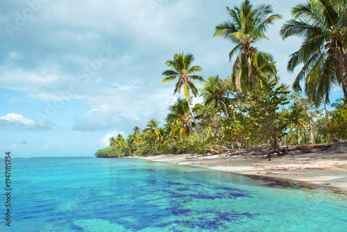 Travel background with green palm trees on caribbean beach.
