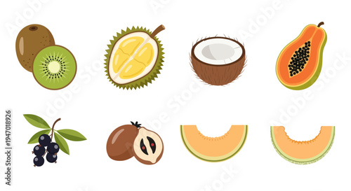 Assortment of fresh tropical fruit illustrations