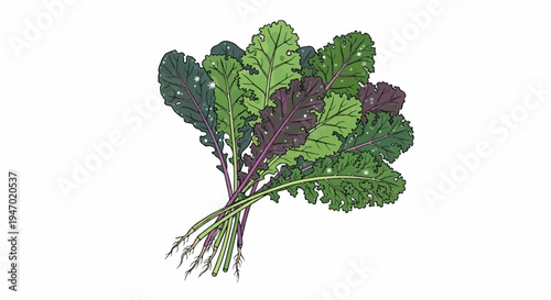 A bunch of kale leaves with purple stems and small white dots