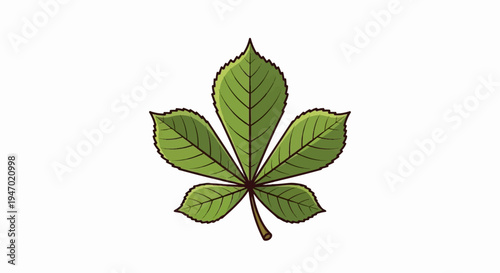 A green palmate leaf with serrated edges and dark veins