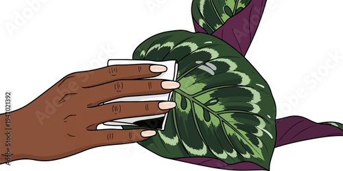 A hand gently wipes a vibrant green and purple leaf with a white cloth