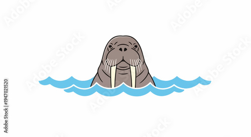A cartoon walrus head emerges from blue water waves against a white background