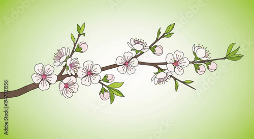 A delicate, hand-drawn illustration of a blossoming branch with pink and white flowers against a soft green gradient