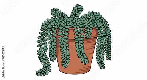 A terracotta pot holds a cascading succulent with numerous plump, green leaves forming thick chains