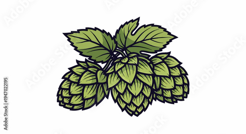 A detailed illustration of green hop cones and leaves against a white background