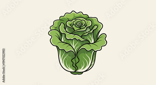 A stylized illustration of a green cabbage with ruffled leaves and a light background