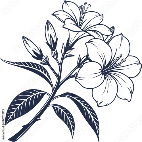 back view tropical flower silhoutte icon on transparent background