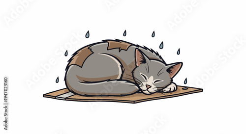 A sleeping cat curled on a cardboard mat under falling raindrops