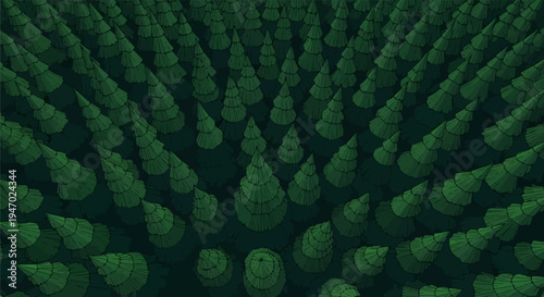 An aerial view of a dense forest canopy, featuring many dark green coniferous trees