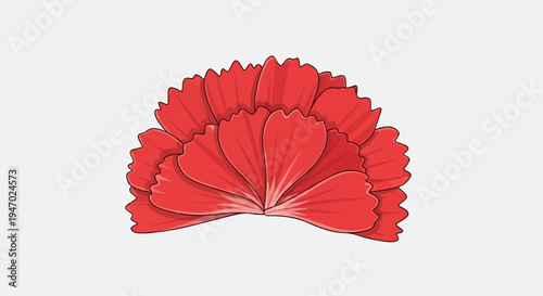 A vibrant red flower with intricately layered, ruffled petals unfolds against a light gray background