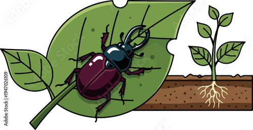 Insect on damaged leaf next to growing plant with roots in soil