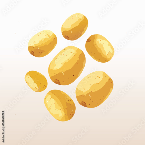 Freshly harvested potatoes arranged on a white backdrop for various uses