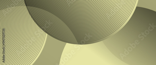 Elegant olive green abstract vector background featuring overlapping circular layers and fine concentric line patterns. A sophisticated, muted design with soft gradients for a professional look.