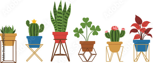 Modern indoor potted plants collection with decorative stands, succulents, cactus, snake plant, clover leaves, red foliage, stylish vector illustration