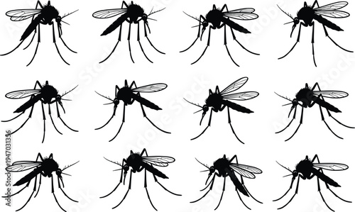 Mosquito silhouette vector illustration, black and white insect design, entomology artwork, flying pest graphic, health awareness theme, tropical disease vector art