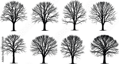 Leafless tree silhouettes collection, winter forest trees set with detailed branches, black nature tree elements for landscape and botanical design