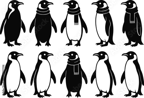 Penguin silhouette vector illustration, black and white bird artwork, winter animal design, cartoon penguin icon, cute wildlife graphic, scarf accessory detail.