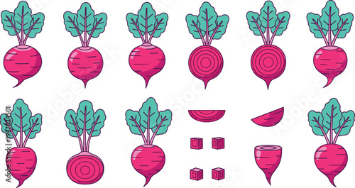 Beetroot vegetable vector set with whole beets, slices and cubes, fresh organic root food collection for healthy cooking ingredients illustration