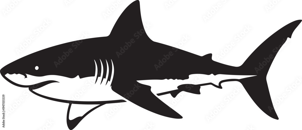 Fototapeta premium Monochromatic Shark Silhouette Illustration with Detailed Fins and Gills.