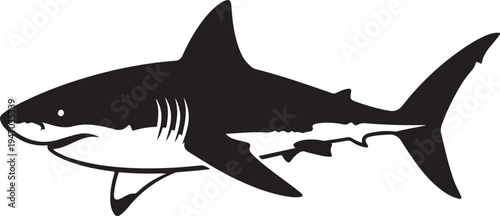 Monochromatic Shark Silhouette Illustration with Detailed Fins and Gills.