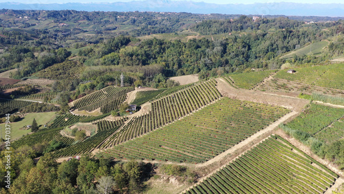Barbaresco village and Langhe vineyards in Piedmont, Italy