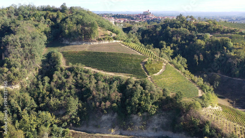 Barbaresco village and Langhe vineyards in Piedmont, Italy
