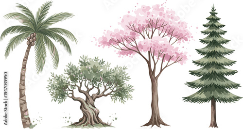 Hand drawn tropical and forest trees collection palm olive cherry blossom pine botanical nature vector illustration set
