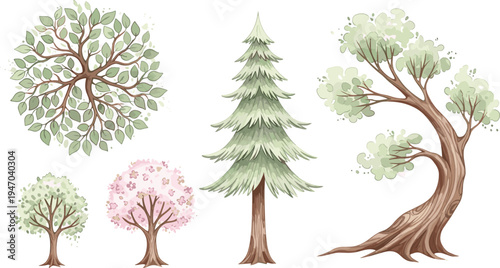 Hand drawn watercolor trees collection oak pine cherry blossom and stylized forest trees botanical nature vector illustration set