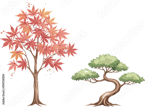 Japanese maple and bonsai tree illustration set with detailed branches and leaves botanical nature vector isolated on white