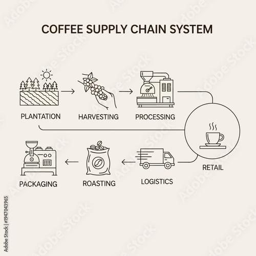 Detailed diagram illustrating the coffee supply chain system from plantation to retail, including harvesting, processing, logistics, roasting, and packaging.