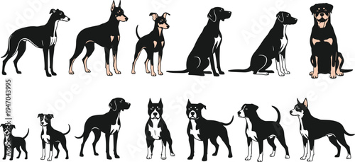 Large collection of dog breed silhouettes and illustrations, including doberman rottweiler pitbull and greyhound vector set isolated on white background