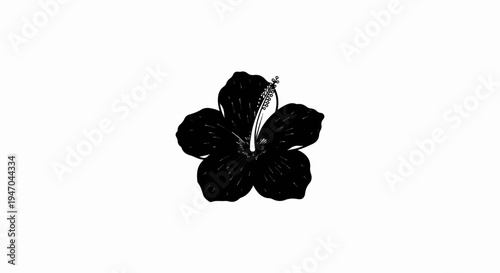 Black hibiscus flower illustration, isolated on white background