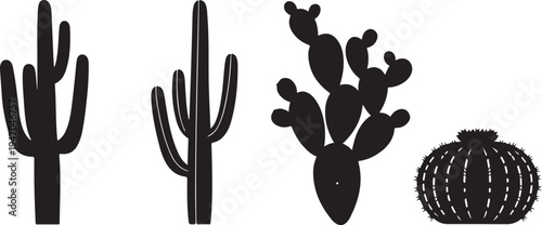 Set of 4 cactus icons vector