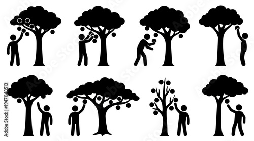 Silhouettes of people picking fruit from various trees, illustrating different methods and stages of harvesting.