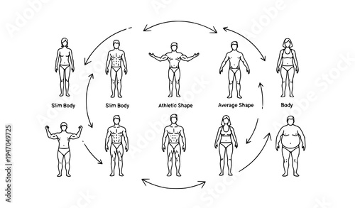Male and female physique outline icon set thin line body shapes for fitness weight loss anatomy and health graphics
