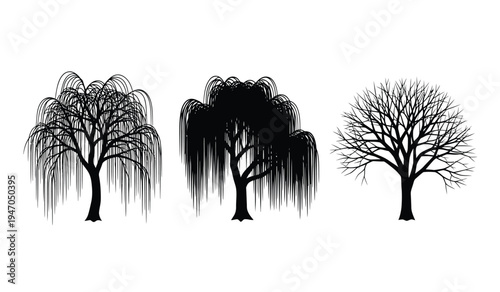 A collection of three distinct black silhouette illustrations depicting various willow tree forms