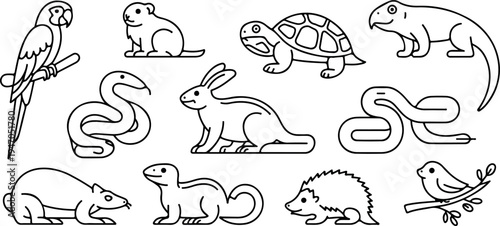 Exotic pet animal linear icon set featuring tropical parrot snake turtle rabbit hamster hedgehog and lizard