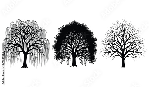 A collection of three distinct tree silhouettes displayed as minimalist black ink line drawings