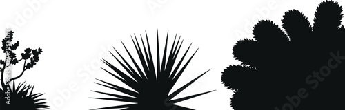 Desert plant silhouettes vector set, cactus agave and desert bushes collection, black botanical shapes nature landscape elements, flat vector ill ,  ture landscape elements, flat vector illustration
