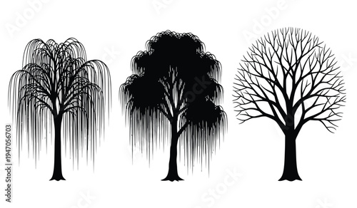 A collection of three distinct tree silhouettes showing different foliage and branch structures