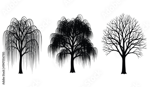 A collection of three distinct tree silhouettes showing different foliage and branching patterns