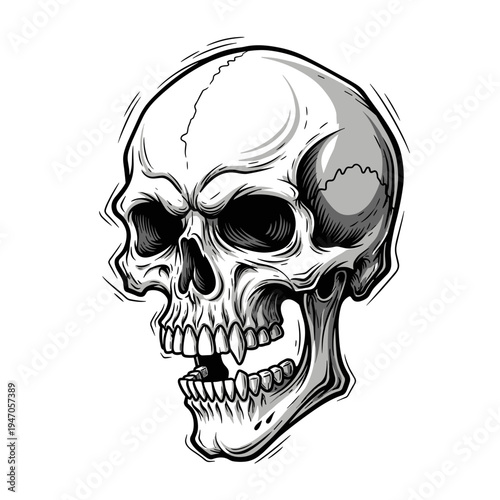 Shaded realistic human skull looking up perspective